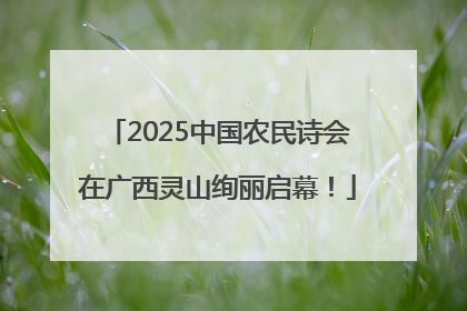 2025中国农民诗会在广西灵山绚丽启幕！