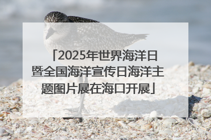 2025年世界海洋日暨全国海洋宣传日海洋主题图片展在海口开展