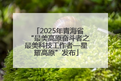 2025年青海省“最美高原奋斗者之最美科技工作者—星耀高原”发布