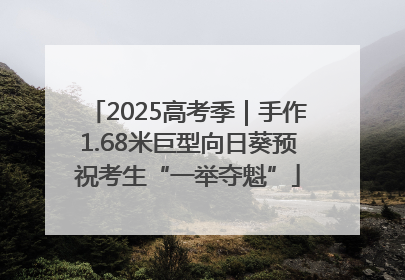 2025高考季｜手作1.68米巨型向日葵预祝考生“一举夺魁”