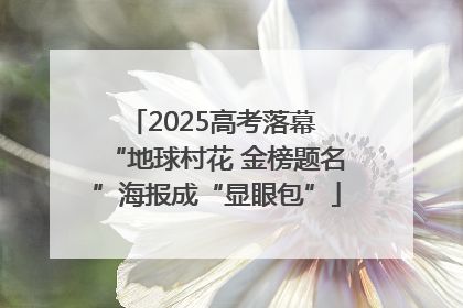 2025高考落幕 “地球村花 金榜题名”海报成“显眼包”