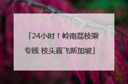 24小时！岭南荔枝乘专线 枝头直飞新加坡