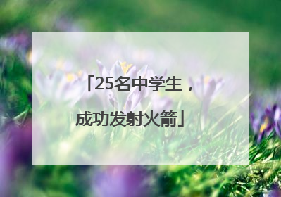 25名中学生，成功发射火箭