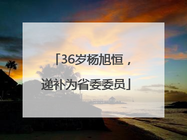 36岁杨旭恒，递补为省委委员