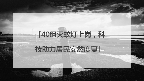 40组灭蚊灯上岗，科技助力居民安然度夏