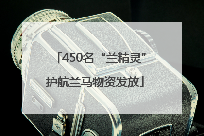 450名“兰精灵”护航兰马物资发放