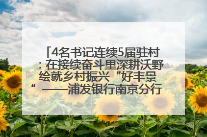 4名书记连续5届驻村：在接续奋斗里深耕沃野 绘就乡村振兴“好丰景”——浦发银行南京分行助力脱贫攻坚、帮促乡村振兴记事（二）