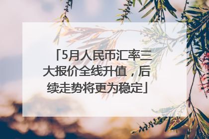 5月人民币汇率三大报价全线升值，后续走势将更为稳定