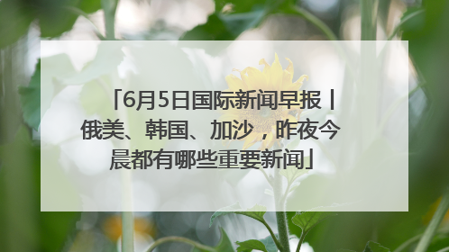 6月5日国际新闻早报丨俄美、韩国、加沙，昨夜今晨都有哪些重要新闻