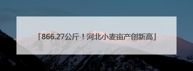866.27公斤！河北小麦亩产创新高