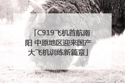 C919飞机首航南阳 中原地区迎来国产大飞机训练新篇章