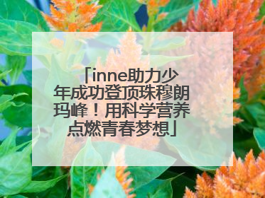inne助力少年成功登顶珠穆朗玛峰！用科学营养点燃青春梦想